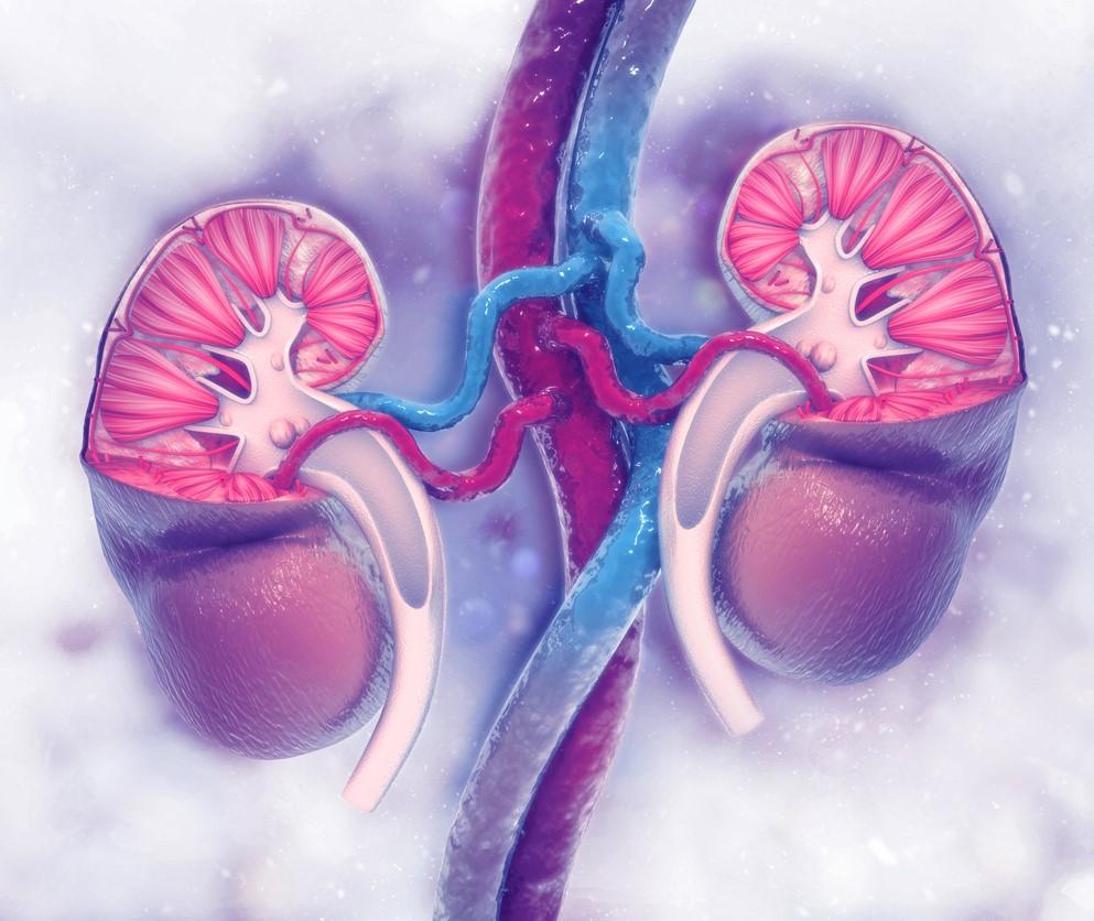 kidney treatment dial a dialysis centre